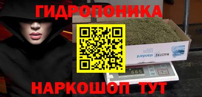 Альфа ПВП Нальчик