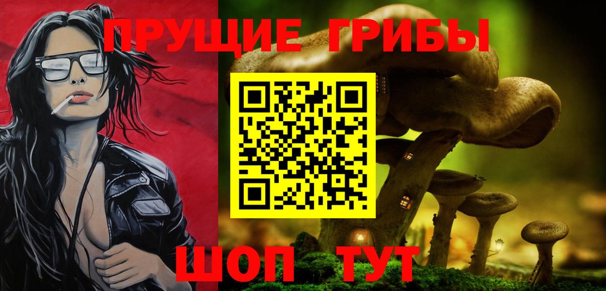 Галлюциногенные грибы мицелий  Вход с VPN  Псилоцибиновые грибы GOLDEN TEACHER  Северск 